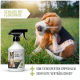 Eine Flasche REAVET+ Flohspray neben einem kratzenden Beagle auf einer Wiese. Text: "Schluss mit Flohzirkus" und "Von Tierexperten empfohlen."