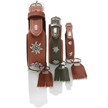 Drei Lederhundehalsbänder (groß braun, mittel grün, klein braun) mit silbernen Blumen-Conchos, Quasten und 'HUNTER'-Anhängern.