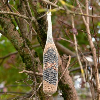 Ein Vogelfutterspender, der von einem Baumzweig hängt, gefüllt mit verschiedenen Samen und Nüssen, umgeben von grünem Laub.