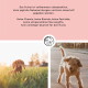 Bild eines Golden Retrievers, der neben einem Gewässer sitzt, mit Text über die Vorteile von Schwarzkümmelöl und Algenmehl für Haustiere.