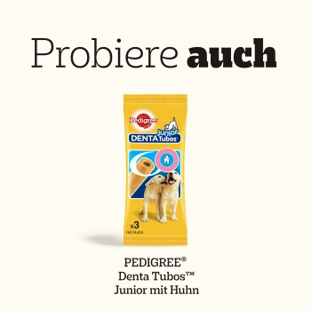 Pedigree Junior Denta Tubos Hundesnacks mit Huhn, zeigt zwei Welpen und ein Zahnpflege-Symbol, Text "Probiere auch".