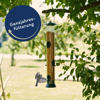 Ein mit Samen gefüllter Vogelhäuschen hängt von einem Baumast, während ein kleiner Vogel sich nähert, mit "Ganzjahresfütterung" in einem blauen runden Abzeichen.