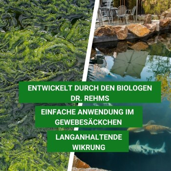Bild zeigt grüne Algen auf der linken Seite und einen ruhigen Teich mit Fischen auf der rechten Seite, mit Text über ein Produkt, das von Dr. Rehms entwickelt wurde.