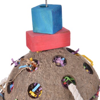 Buntes Vogelspielzeug mit einer Kokosnussschalenbasis mit Löchern, gefüllt mit zerknülltem Papier, gekrönt mit einem roten und blauen Holzblock.