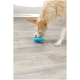 Ein verspielter Hund mit struppigem Fell konzentriert sich auf ein hellblaues Gummispielzeug auf einem hellen Holzboden, mit einem kleinen Leckerli in der Nähe.