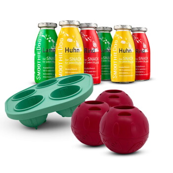 SmoothieDog-Flaschen (Huhn, Lamm, Rind) mit grüner Silikonform für Leckerlis und drei roten Futterausgabebällen