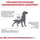 Illustration einer Hundesilhouette mit Text auf Deutsch, der über Ernährungsprobleme bei Hunden spricht, einschließlich Nahrungsmittelunverträglichkeiten und gesundheitlichen Auswirkungen.