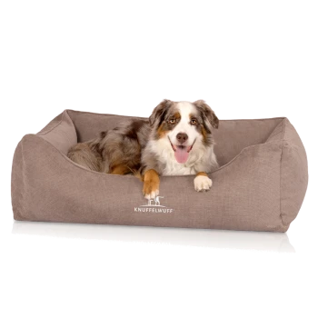 Ein glücklicher Australian Shepherd Hund liegt in einem gemütlichen, braunen Hundebett, mit dem Logo 'KNUFFELWUFF', das auf der Vorderseite sichtbar ist.