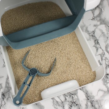 Eine saubere Katzentoilette mit beigem Streu und einer blauen Schaufel, die darauf liegt, vor einem marmorierten Hintergrund.