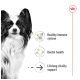 A black and white Papillon dog with large ears, alongside text: "Healthy immune system," "Dental health," "Lifelong vitality support."