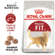 Royal Canin Regular Fit cat food bag with a running cat illustration and text on health nutrition, nutrient profile, and kibble size.