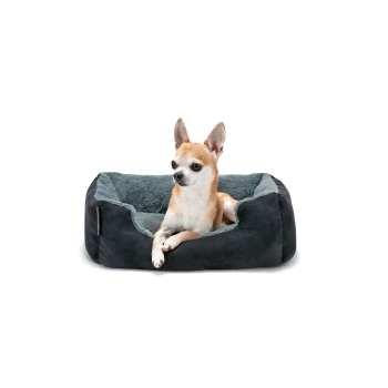 Ein kleiner tan- und weißer Chihuahua, der in einem plüschigen, dunkelgrauen Haustierbett mit einem weichen, hellgrauen Innenraum entspannt.