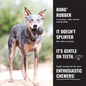 Blue heeler holding black KONG toy; ad panel: 'KONG RUBBER - doesn't splinter; gentle on teeth; enthusiastic chewers'