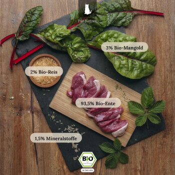 Roh in Scheiben geschnittene Ente (93,5% Bio-Ente) auf einem Brett mit Mangold und Reis; sichtbare Kennzeichnungen 'Für Katzen' und Bio-Siegel.