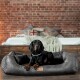 ® ALBERTO ORTHO Orthopädisches Hundebett mit Velours Vintage schwarz/ graphit 1,2 m, 25 cm, 85 cm