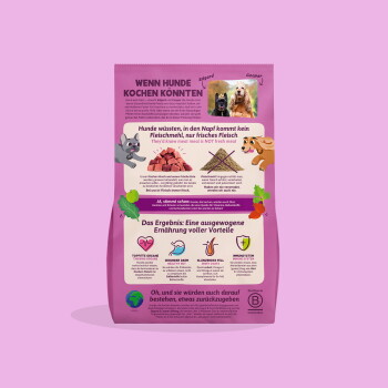 Rosa Hundefuttertüte mit Aufschrift 'WENN HUNDE KOCHEN KÖNNTEN', zwei Hundefotos, Cartoon-Hunde, Fleischbild und Nährstoff-Icons.