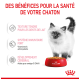 Un chaton duveteux à côté d'un bol rouge de nourriture pour chats Royal Canin, mettant en avant les bienfaits pour la santé : texture tendre, soutien immunitaire et développement cérébral.