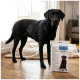 Schwarzer Labrador (Gesicht unscharf) steht drinnen neben verpackter "TAKE CARE"-Schutzhose für Hunde mit deutschem Text.