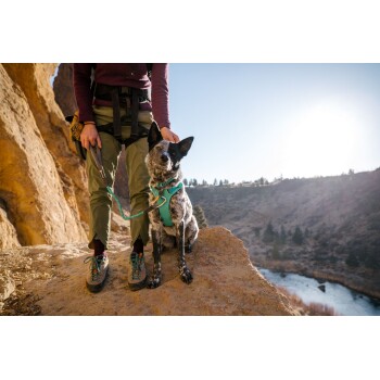 Eine Person in Kletterausrüstung steht auf einem felsigen Vorsprung mit einem hund mit blauer Leine und blickt auf ein malerisches Flusstal unter einem hellen Himmel.