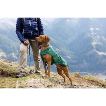 Eine Person in einer blauen Jacke steht auf einem Hügel mit einem braunen Hund in einem grünen Mantel, umgeben von Bergen und Grün.