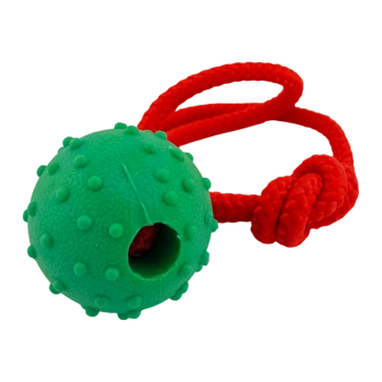 Grüner strukturierter Gummihundeball mit Löchern, befestigt an einem roten geknoteten Seilspielzeug.