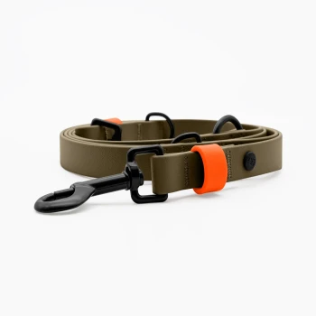 Eine strapazierfähige Hundeleine in olivgrün mit einem leuchtend orangefarbenen Griff und schwarzen Clips, ordentlich auf einem weißen Hintergrund gewickelt.