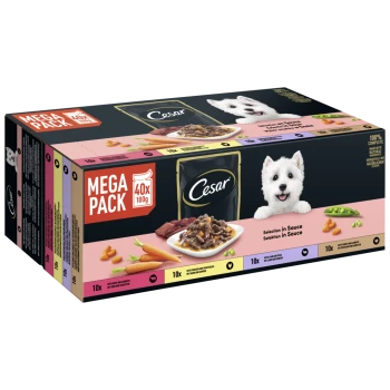 Cesar Mega Pack met 40 x 100g hondenvoer trays in verschillende smaken, waaronder rundvlees met wortelen en kip met groenten.