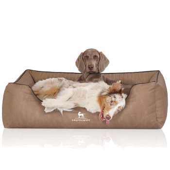 Ein gemütliches braunes Hundebett mit einem weißen und braunen Hund, der bequem liegt, mit dem Logo 'KNUFFELWUFF' auf der Vorderseite.