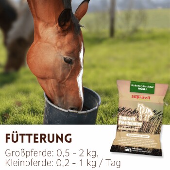 Braunes Pferd frisst aus einem Eimer neben einem Futtersack; sichtbarer Text: '0,5 - 2 kg, 0,2 - 1 kg / Tag'.