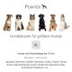 Pointer Hundekissen hellgrau XL
