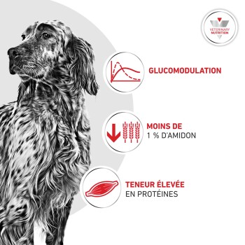 Chien noir et blanc à poil long avec icônes rouges et texte : GLUCOMODULATION ; MOINS DE 1% D'AMIDON ; TENEUR ÉLEVÉE EN PROTÉINES.
