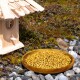 Ein hölzernes Vogelhaus neben einem Teller mit gelbem Vogelfutter, mit einem kleinen braunen Vogel, der am Rand des Tellers steht, auf einem felsigen Boden.