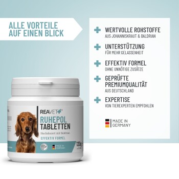 Ein Haufen runder, beiger Haustier-Nahrungsergänzungsmittel oder Vitamine, mit einem Lineal zur Größenangabe, auf einem weißen Hintergrund.