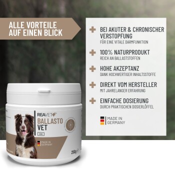 Ein Glasbehälter gefüllt mit braunem Pulver und einem kleinen weißen Messlöffel daneben, wahrscheinlich ein Haustier-Nahrungsergänzungsmittel oder Lebensmittelzusatz.