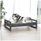 Ein großer, flauschiger sibirischer Husky liegt bequem auf einem grauen Haustierbett mit einem Holzrahmen, in einem hellen Raum mit einer Pflanze und großen Fenstern.