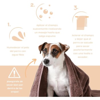 Ein Hund in einem braunen Handtuch mit Badeanweisungen: nasses Fell, Shampoo auftragen, ausspülen, trocknen und Vorsicht beim Trocknen der Ohren.