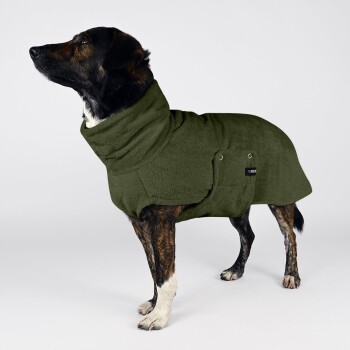 Ein brauner Hund trägt einen gemütlichen, übergroßen olivgrünen Hoodie und steht an einem sandigen Strand, mit Gras und einem Pfosten im Hintergrund.