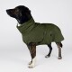 Ein brauner Hund trägt einen gemütlichen, übergroßen olivgrünen Hoodie und steht an einem sandigen Strand, mit Gras und einem Pfosten im Hintergrund.
