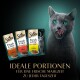 Eine graue Katze mit grünen Augen leckt sich die Lippen neben Sheba Katzenfutterbeuteln, die mit "mit Lamm", "mit Rind" und "mit Huhn" beschriftet sind.