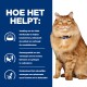 Een fluffy oranje kat met een blauwe halsband zit naast tekst die de voordelen van huisdiervoeding voor de nierfunctie, activiteit en spieronderhoud beschrijft.