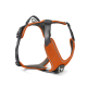Orange- und grau gepolstertes Hundegeschirr mit reflektierendem Besatz, verstellbaren schwarzen Riemen und Metall-D-Ring zur Leinenbefestigung.
