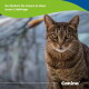 Nahaufnahme einer braunen getigerten Katze mit grünem Banner mit der Aufschrift „So fördert ihr Haare & Haut eurer Lieblinge“ und Canina-Logo.