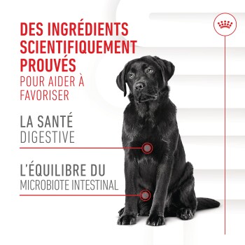 Un chien noir assis avec un texte sur des ingrédients scientifiquement prouvés pour la santé digestive et l'équilibre du microbiome.