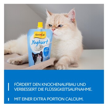 Cremefarbene Katze mit blauem GimCat Joghurt-Beutel; deutscher Banner: 'Knochenwachstum, verbesserte Flüssigkeitsaufnahme, extra Calcium'