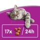 A playful gray tabby cat with yellow eyes rests on a purple background beside "17x / 24h" and fish-shaped cat treat images.
