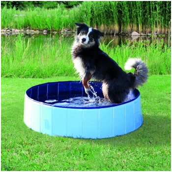 Ein verspielter schwarz-weißer Hund steht in einem blauen Planschbecken, spritzt Wasser, mit grünem Gras und einem Teich im Hintergrund.