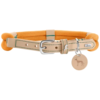 Orangenes Hundehalsband aus geflochtenem Seil und Leder, mit einer silbernen Schnalle und einem runden Anhänger mit einer Hundesilhouette.