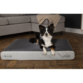 Ein schwarz-weißer Hund liegt auf einem grauen Scruffs-Haustierbett in einem gemütlichen Wohnzimmer, mit einer beigen Decke, die über ein graues Sofa gelegt ist.