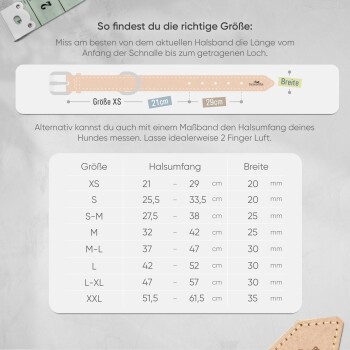 Größentabelle für Hundehalsbänder, die Maße für XS bis XXL zeigt, mit Details zu Halsumfang und Breite in Zentimetern und Millimetern.