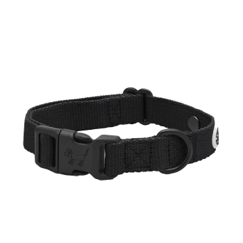 Schwarzes verstellbares Hundehalsband mit einer Kunststoffschnalle und einem Metall-D-Ring zur Leinenbefestigung.